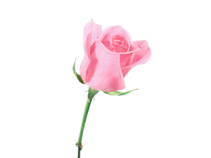 Hz. Peygamber (asm) yağmur yağınca şöyle dua ederdi