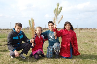 İmece usulü ile fidan dikiyorlar