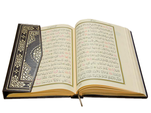 İstirahat edeceğiniz geceyi size getirecek ilâh kimdir?