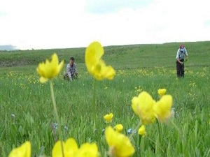 Baharın müjdecisi son cemre toprağa düştü