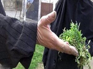 Açlıktan ot toplayanları bile vuruyorlar