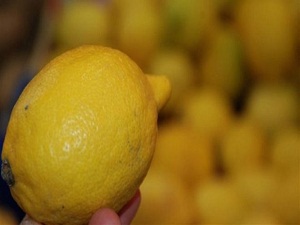 Limon asidinden kök hücre!