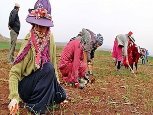 Suriyeli kadınlar 'günlerinden' habersiz