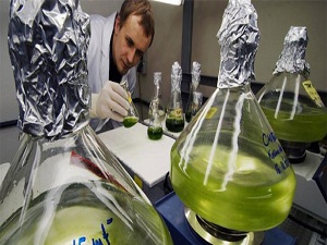 Bitkisel ilaçlara 'yan etki' uyarısı