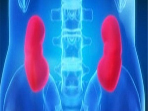 Türkiye'de her 6-7 kişiden biri böbrek hastası