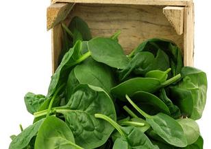 Obeziteye karşı ıspanakla ilgili müthiş iddia