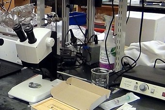 Yaralar elektrik akımıyla daha hızlı iyileşecek