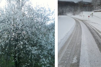 Ordu'da mart kapıdan baktırdı, kazmayı da küreği de yaktırdı