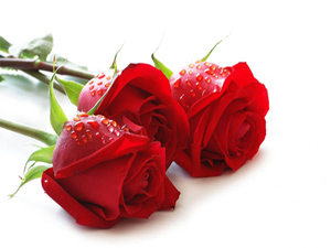 Güvenilir olmak rızkı çeker