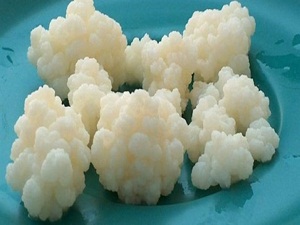 Kefir sütten de faydalı