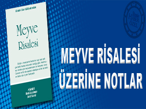 Meyve Risalesi üzerine notlar
