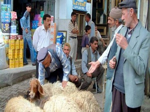 Köylü Satış Pazarı Kurulması İsteniyor