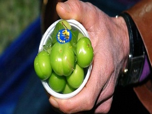 Kilosu çeyrek altın ile yarışıyor