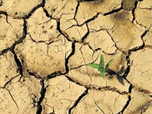 Son yağışlar kuraklık tehlikesini azalttı