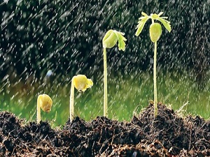 Kuraklık riski sona erdi