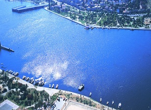 Haliç'te inanılmaz bir başarı! Tam 47 tür bulundu