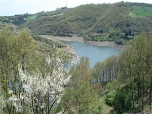 İstanbul'a su sağlayan barajdan sevindirici haber