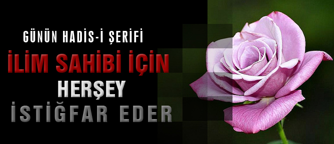 İlim sahibi için herşey istiğfar eder