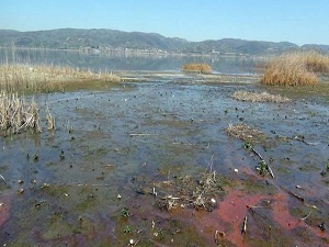 Sapanca Gölü'nün son hali korkuttu