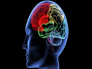 Sodyum eksikliği beyni olumsuz etkiliyor