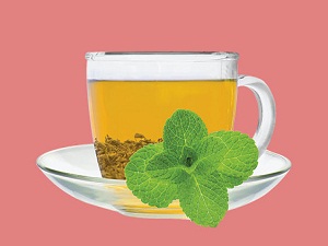 Adaçayı aşırı terlemeyi engelliyor