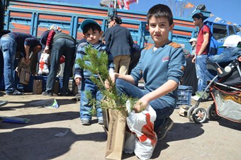 4 bin fidan dağıtıldı