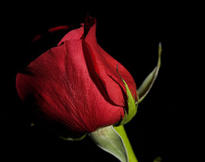 Bir kavme benzemeye çalışanlar onlardandır