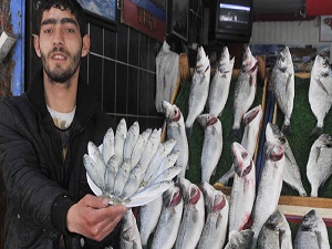Balık fiyatları tavan yaptı!