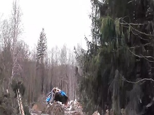 ABD'de ölü sayısı 24'e yükseldi