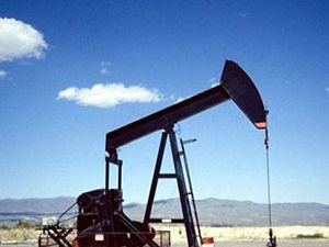 TPAO’nun petrol atağı