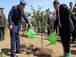 Şehitlerin hatırası için 2,3 milyon fidan dikildi