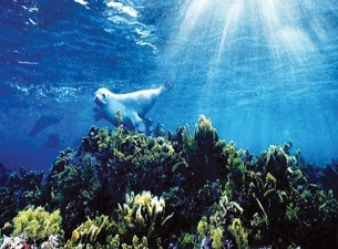 Yüzde 170 tehlikedeyiz