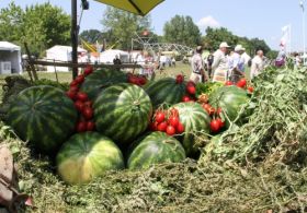 Meteorolojiden Zirai Don Uyarısı