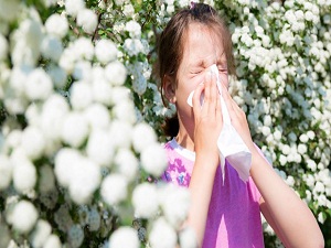 Alerji tedavisi için en uygun dönem yaz tatili