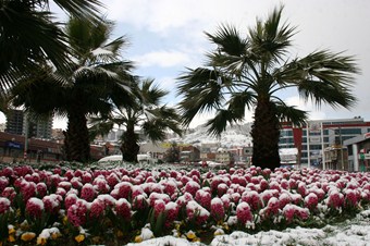 Baharı beklerken kış geldi