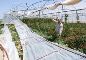 Fırtına, Mersinde Seraları Vurdu