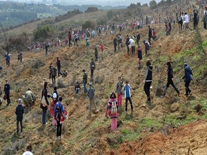 Öğrenciler, Hasdal Kışlası'nda fidan dikti