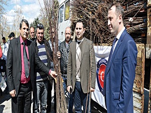 Makedonyalı çiftçilere meyve fidanı