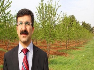 Badem üreticisine don uyarısı