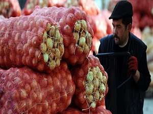 İhracat 600 milyon doları aştı