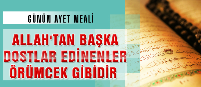 Allah’tan başka dostlar edinenler örümcek gibidir