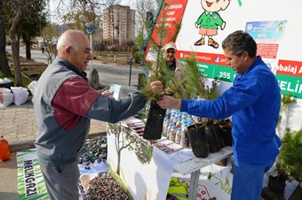 Atık pil getirenlere 3 bin adet çam fidanı verildi
