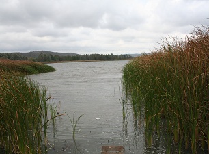 Bir zamanlar suyu içilen göl şimdi bataklığa dönüştü