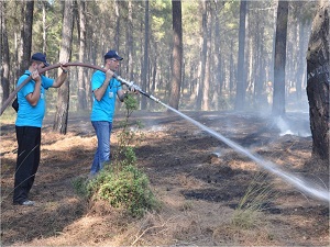 Orman yangınlarıyla mücadele kapsamında 385 bin kişiye eğitim verildi