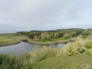 Hedef sulak alanı daha etkin koruma