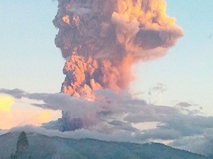 Şimdilik kül gırtlağı