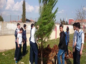 Tablet alan öğrenciler ağaç dikti