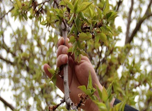 Böylesi en son 1914'te yaşanmıştı!