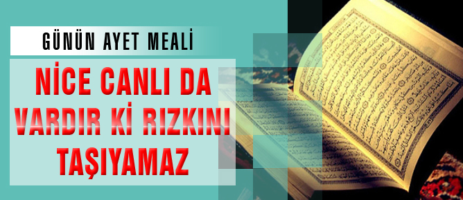 Nice canlı da vardır ki rızkını taşıyamaz