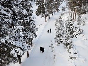 Küresel ısınma karı erken eritti